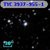 TYC 3937-955-1