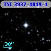 TYC 3937-1019-1