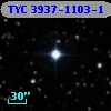 TYC 3937-1103-1