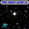 TYC 3937-1297-1
