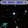 TYC 3937-2018-1