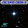 TYC 3937-2020-1