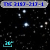 TYC 3187-217-1