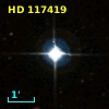 HD 117419