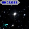 HD 239363