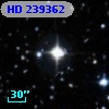 HD 239362