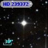 HD 239372