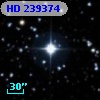 HD 239374