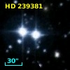 HD 239381