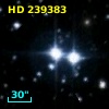 HD 239383