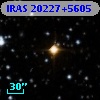 IRAS 20227+5605