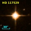 HD 117529