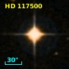 HD 117500