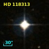 HD 118313
