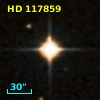 HD 117859