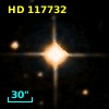 HD 117732