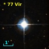 *  77 Vir
