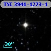 TYC 3941-1273-1