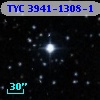 TYC 3941-1308-1