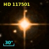 HD 117501