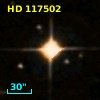 HD 117502
