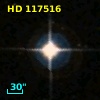 HD 117516