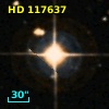 HD 117637