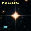 HD 118391