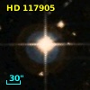 HD 117905