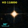 HD 118890