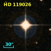 HD 119026
