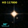 HD 117800