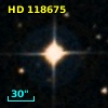 HD 118675