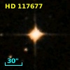 HD 117677