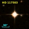 HD 117503