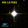 HD 117591