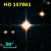 HD 117861