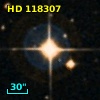 HD 118307