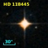 HD 118445