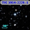 TYC 3954-2228-1