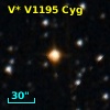 V* V1195 Cyg