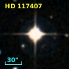 HD 117407