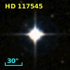 HD 117545