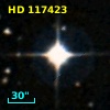 HD 117423