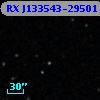 RX J133543-29501