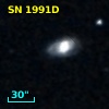 SN 1991D