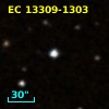 2MASS J13333904-1319018