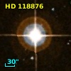 HD 118876