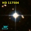 HD 117504