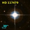 HD 117479